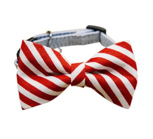 Red & White Striped Pet Bow Tie Collar