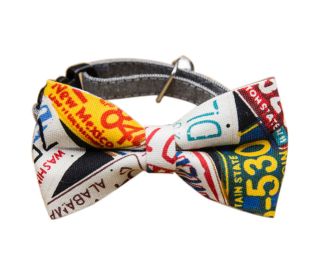 Multi-State Dog Tie Adjustable Collar