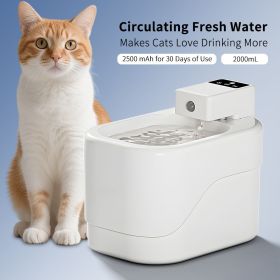 Small Automatic Pet Water Dispenser For Cats or Dogs